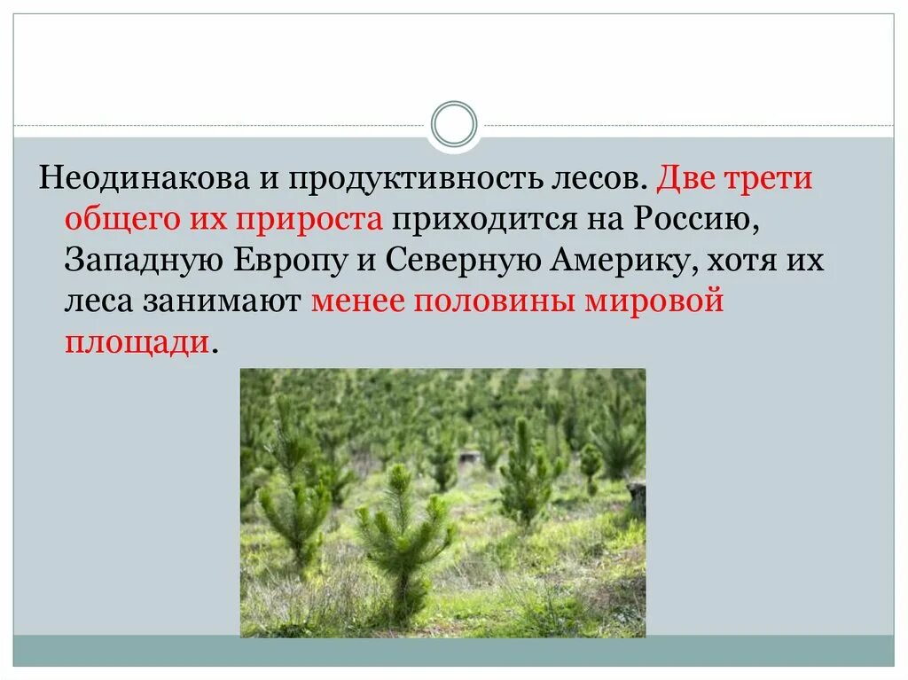 Последовательность увеличения биологической продуктивности природных зон. Продуктивность лесов. Биологическая продуктивность леса. Повышение продуктивности леса. Смешанный лес продуктивность.