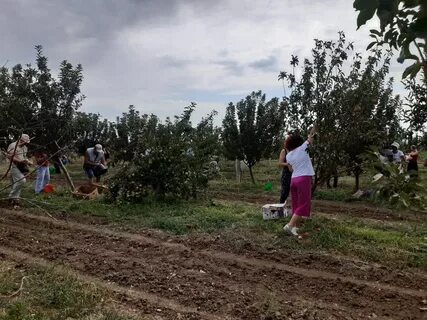 Сады заработают