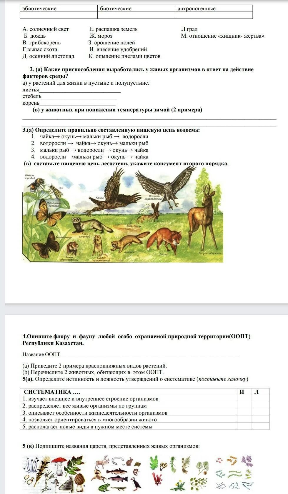 Сор по биологии 7 класс. Сор биология 7 класс 1 четверть. биология 7 класс 1 четверть. сор по биологии 7 класс 3 четверть. сор по биологии 7 класс 3 четверть 3 сор.