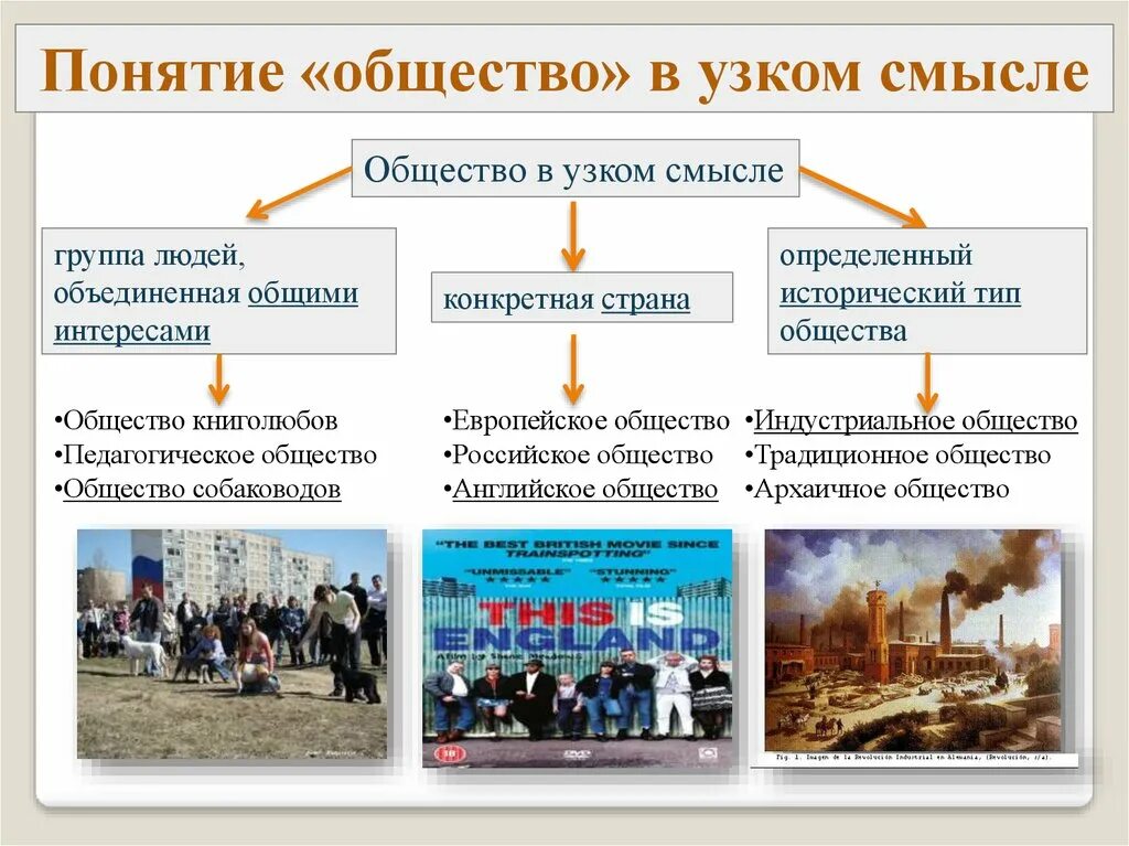 Дайте определение термину общество. Общество в узком смысле. Понятие общества. Понятие общество в широком смысле. Понятие общества в узком смысле.