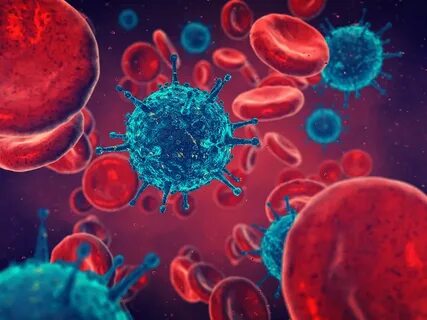 Infection c virus