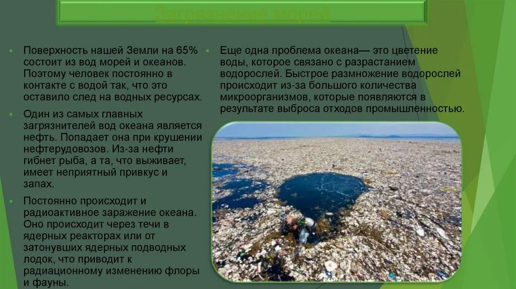 Экологические проблемы морей. Экологические проблемы загрязнения морей. Экологические проблемы черного моря. Проблема загрязнения морей.