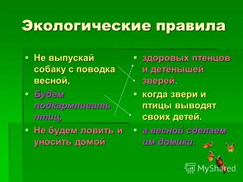 Правила экологической безопасности связанные с продуктами. Правила экологии. Окружающий правила экологии. Правила экологической безопасности. Экологический порядок.