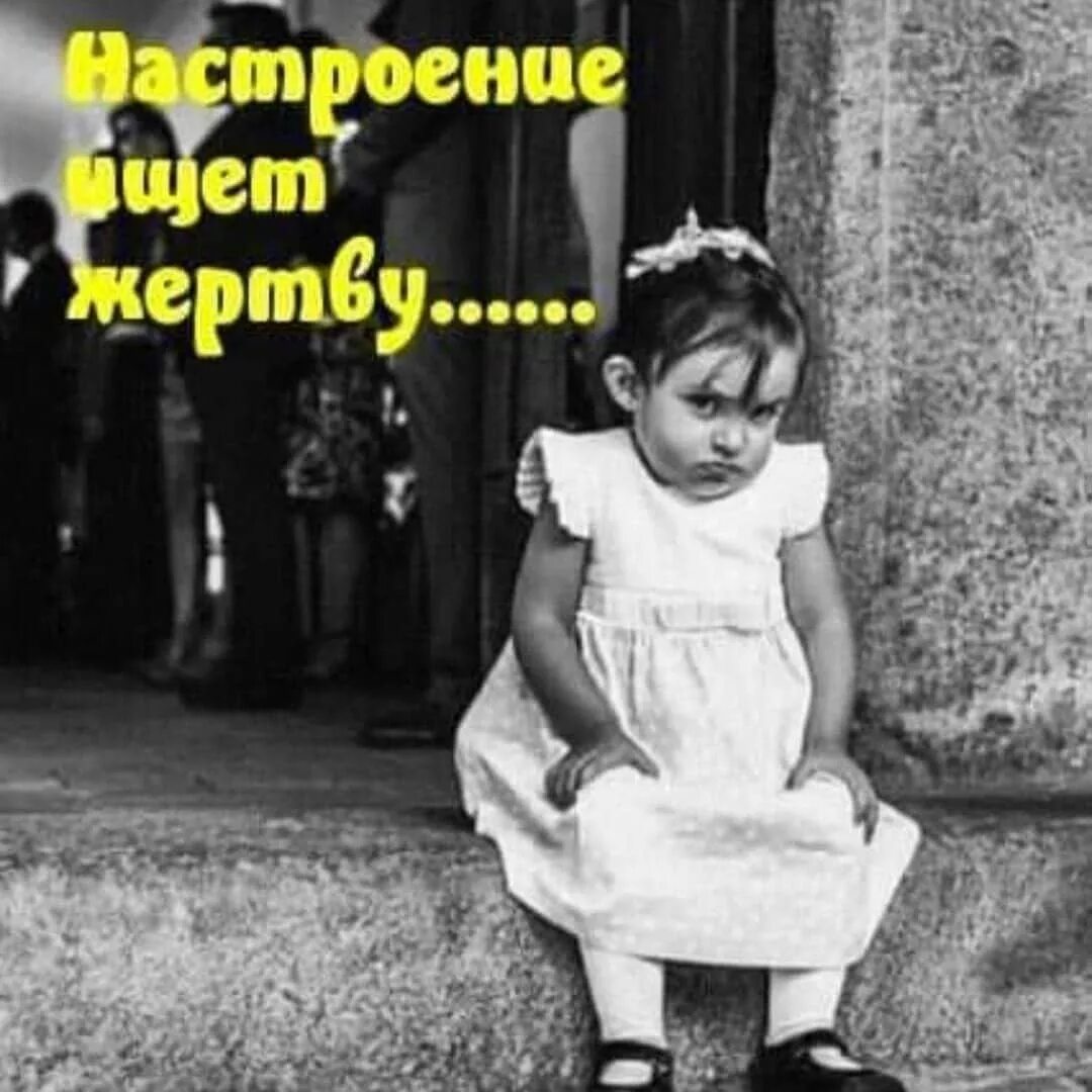 Настроения нет и не будет. Настроение искало объект картинки с надписями. нет настроения картинки. настроение искало жертву. когда нет настроения картинки.