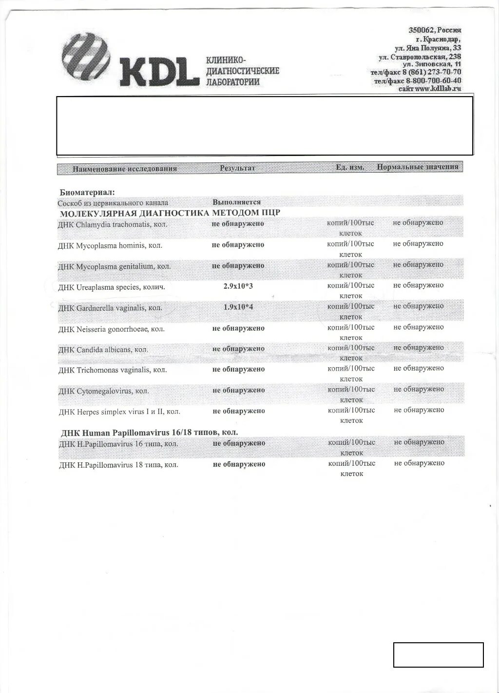 Кдл островского. ПЦР уреаплазма КДЛ. КДЛ анализы. Клиника KDL бланки для анализов трихомонад. Микоплазма КДЛ.