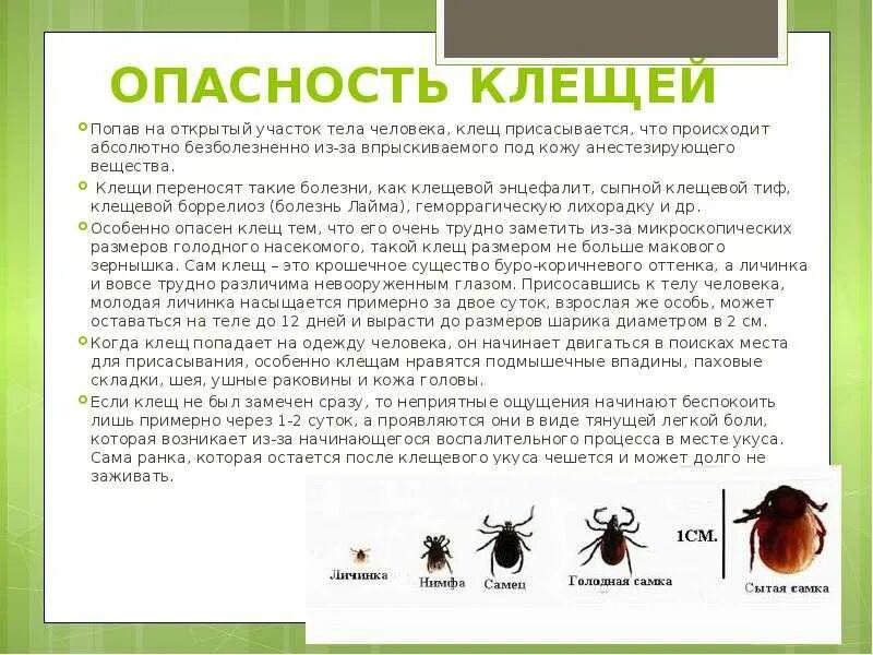 От энцефалитного клеща умирают