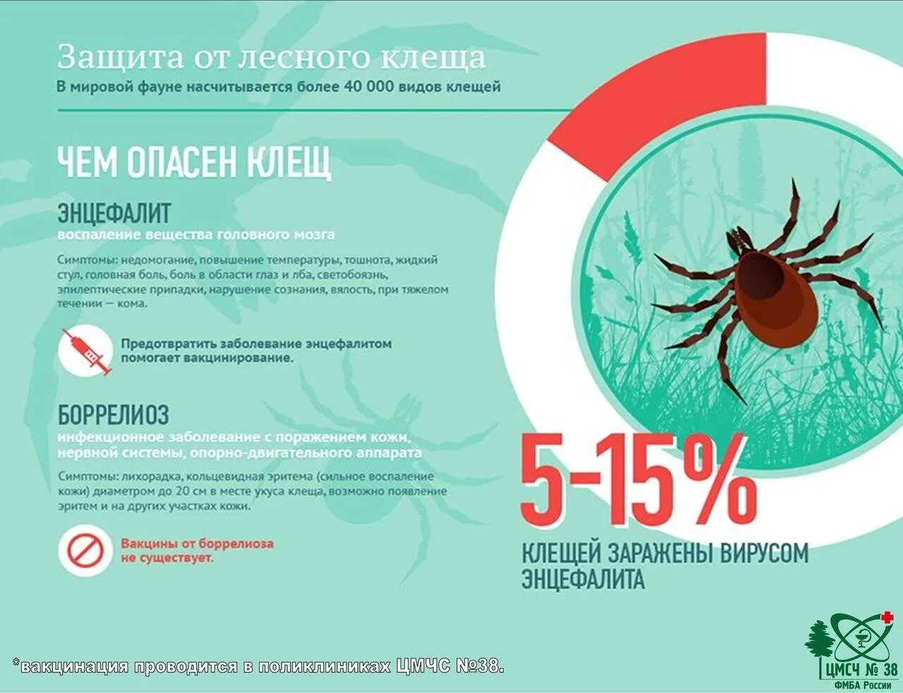 Где поставить прививку от клеща в екатеринбурге. Активность клещей. Период активности клещей. Периоды активности клеящей. Защита от клеща.