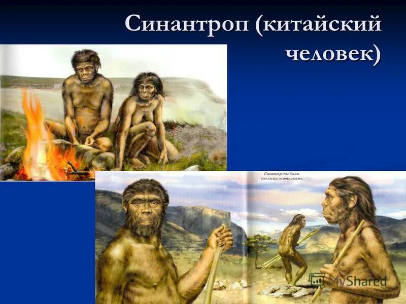 Выберите верные утверждения синантроп пекинский человек. Синантроп. древний человек. синантроп китайский человек. синантроп реконструкция.