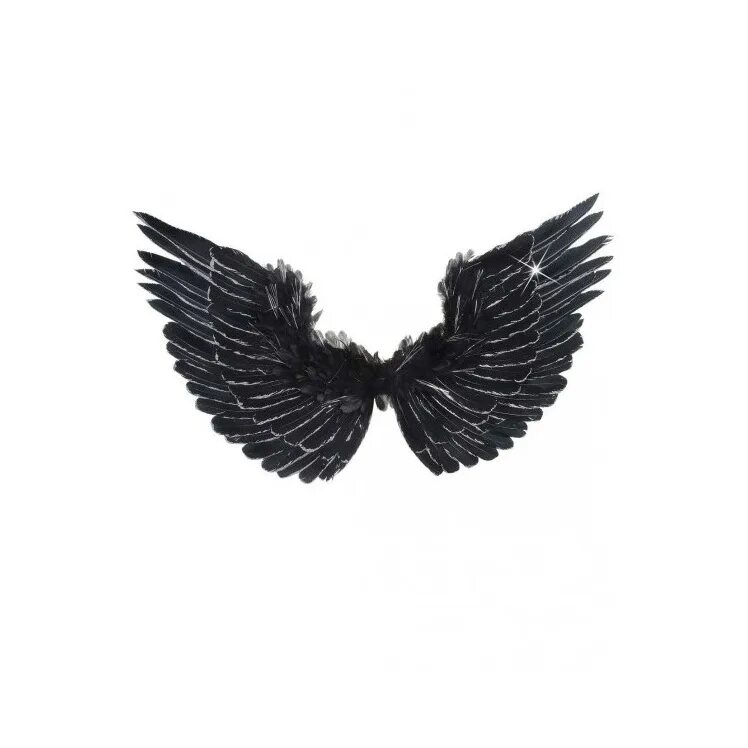 Черное крыло песня. Черные Крылья. Белые Крылья на черном фоне. Черные Крылья маленькие. Белые Крылья ангела на черном фоне.