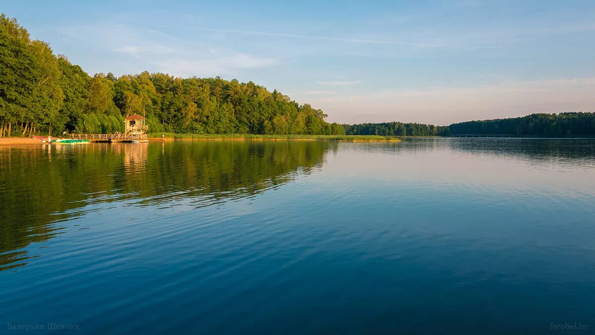 Разные озеры. Белое озеро (Гродненская область). Озеро белое Гродненский район. Белое озеро Беларусь Гродненская область. Озеро Нарочь.