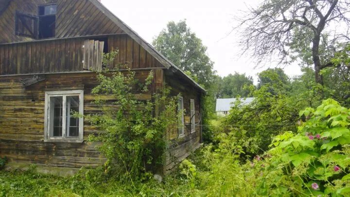 Погода в киршино печорского района. Деревня Киршино Печорского района. Д.Киршино Псковская область. Подгорье Крупская волость Псковская. Продам дом д. Лисье Крупская волость.