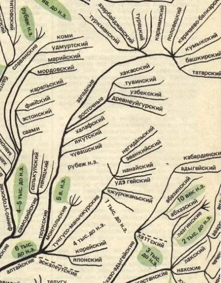 Древо языков тюркская семья. Классификация тюркских языков. Схема тюркских языков. Классификация тюркских языков схема.