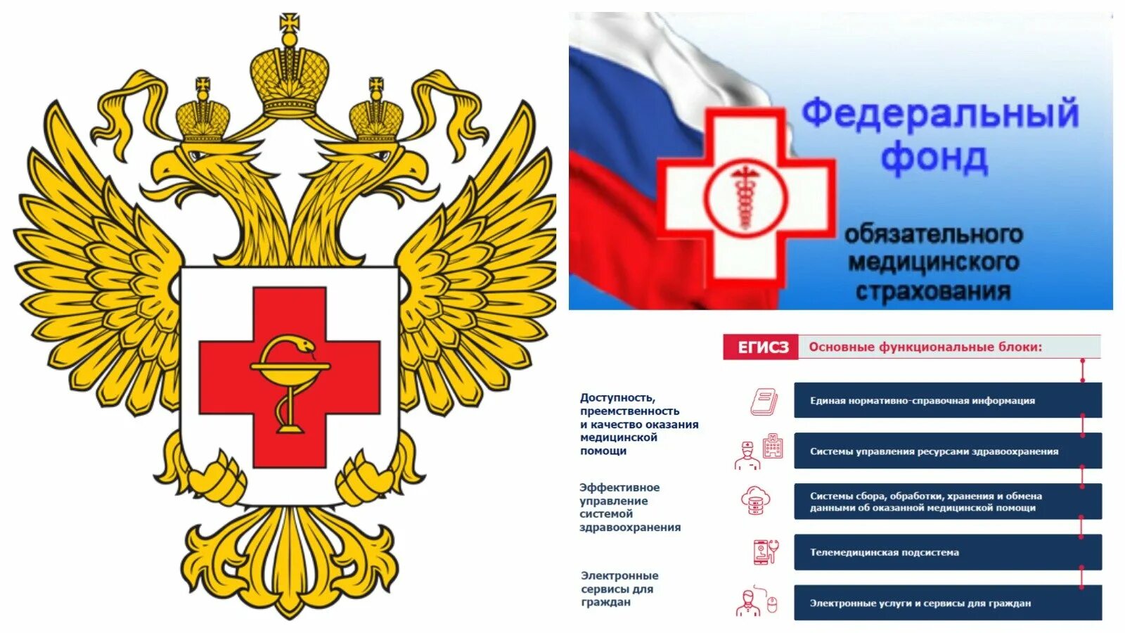 Фонд омс войти. Региональный фонд обязательного медицинского страхования. Фонд омс войти. Территориальный фонд медицинского страхования. Территориальный фонд омс.