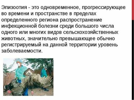 Эпизоотия это