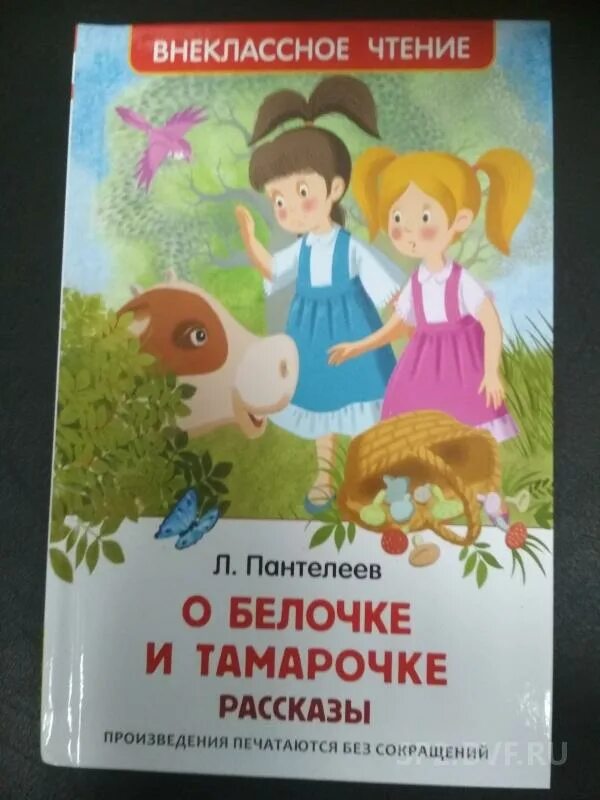 Семья на страницах произведений. Л Пантелеев рассказы о белочке и Тамарочке. Книга Пантелеева Белочка и Тамарочка.