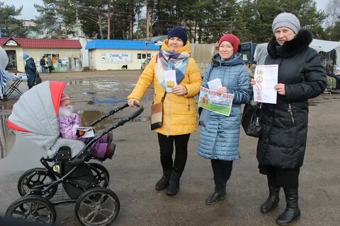 Какая погода в лесном