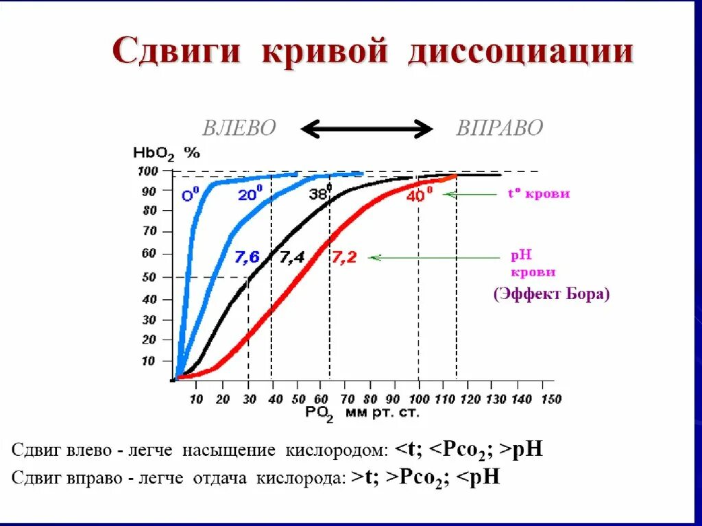 Сдвиги рн. Сдвиги рн. Сдвиги рн. Сдвиг крови в щелочную сторону называется. Норма рн крови у человека.