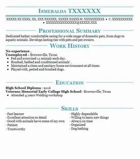 Cv for jobs experience