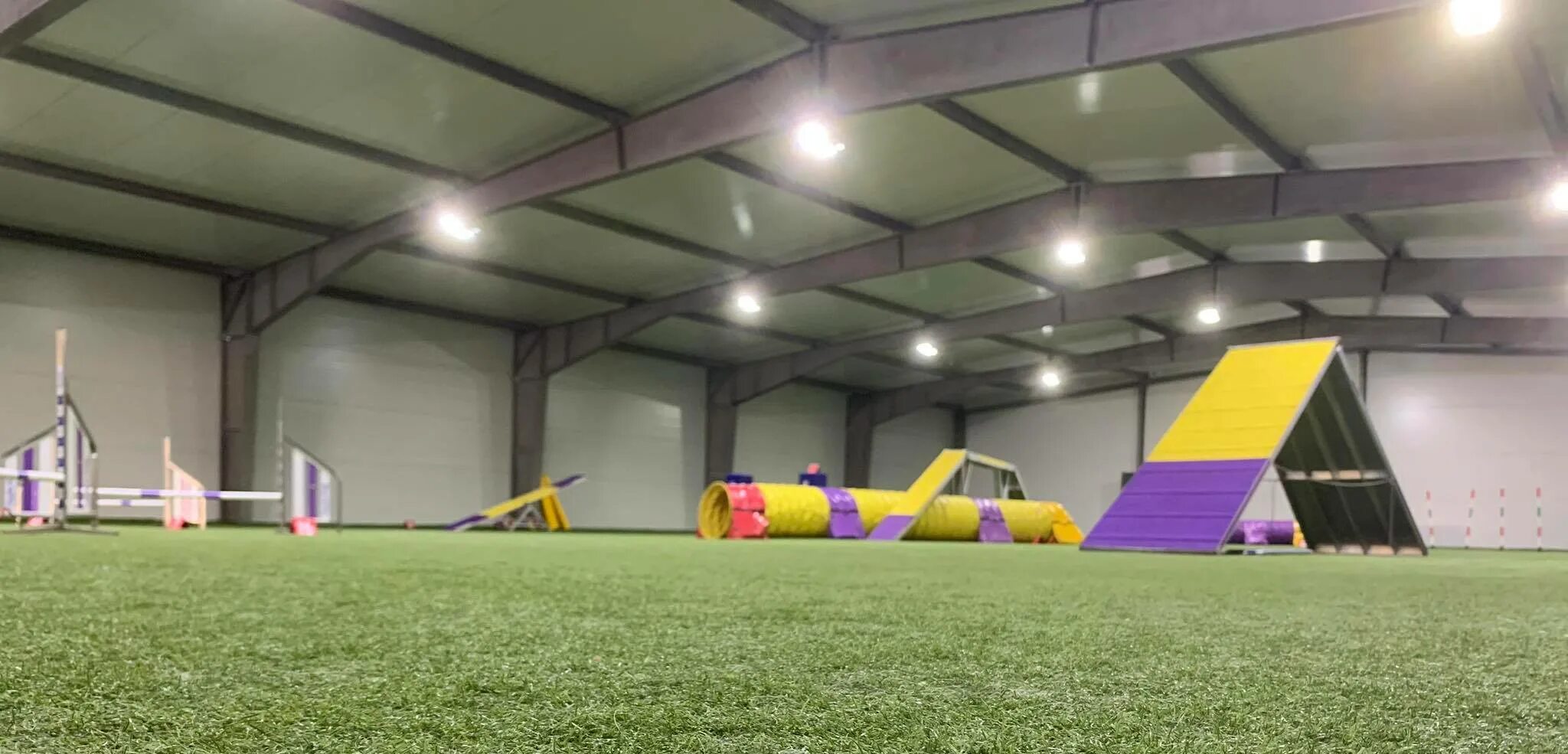 Аджилити манеж. Аджилити манеж строгино. Аджилити манеж. Аджилити манеж. Ирина герасимова аджилити.