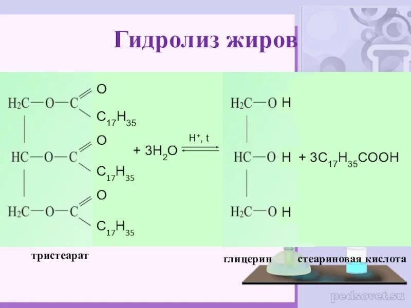 Гидролизу подвергается глицерин. Кислотный гидролиз жира формула. Уравнение реакции гидролиза жиров формула. Кислотный и щелочной гидролиз жиров. Реакция гидролиза жира.