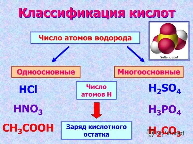 Доклад кислоты химия