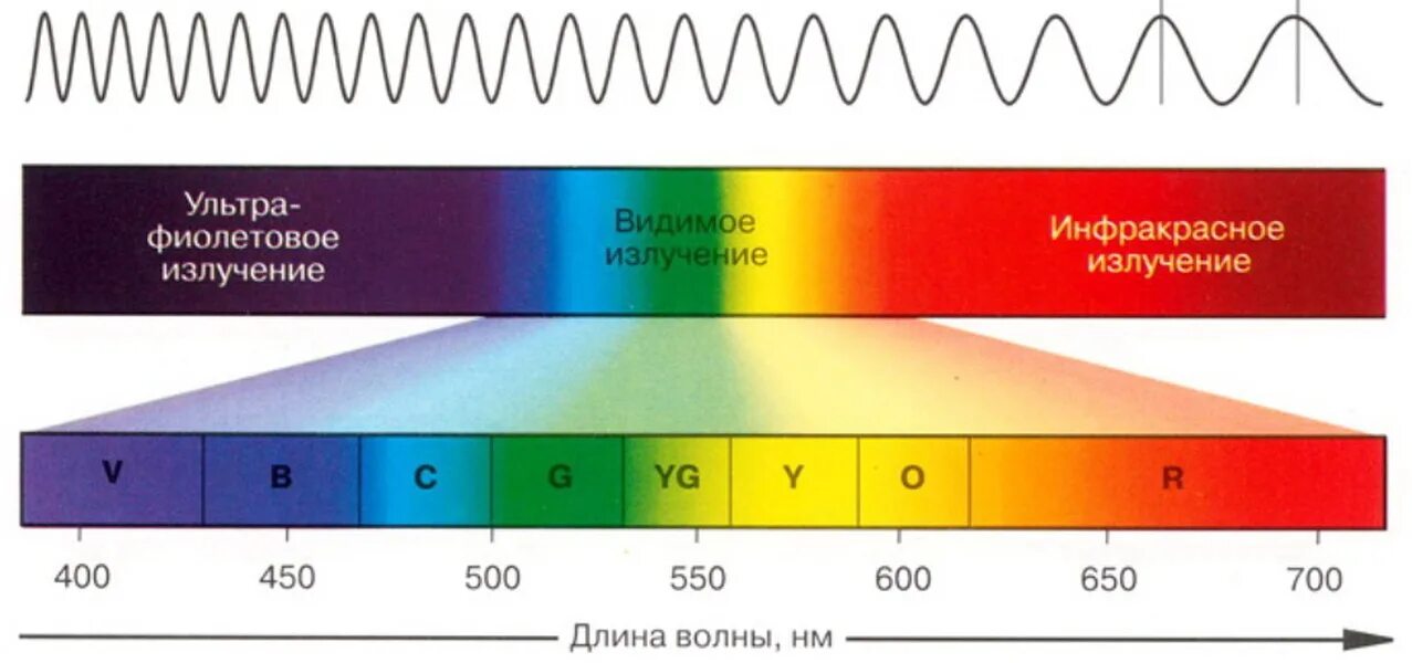 Световая волна фиолетового цвета. Видимый диапазон спектра электромагнитного излучения. Шкала спектра электромагнитных волн. Шкала спектра электромагнитного излучения. Оптический видимый диапазон шкалы электромагнитных волн.