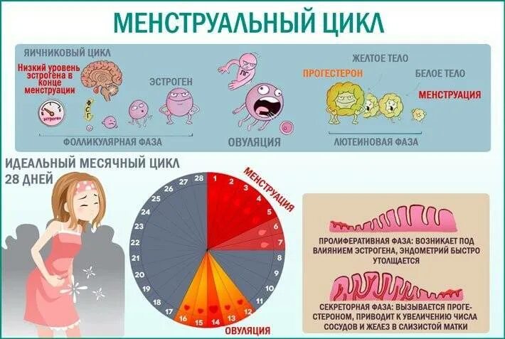 Бывают ли месячные месяц