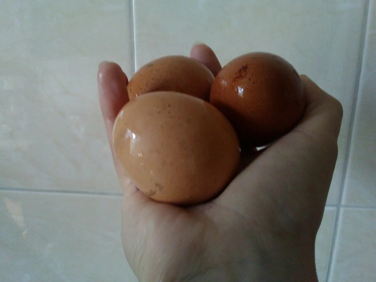 Битых яиц что. Битые яйца. Разбитые яйца. Битых яиц что. Битых яиц что.