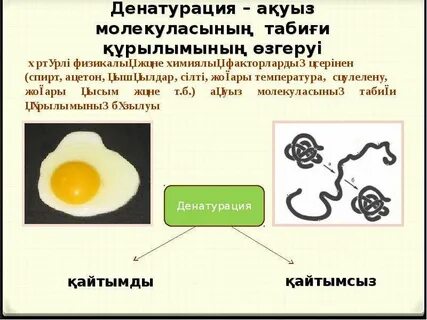 Денатурация транскрипция