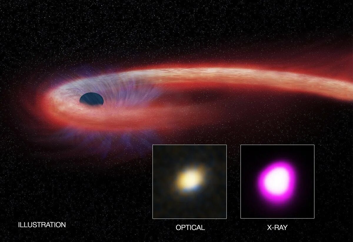 Черная дыра. Большая черная дыра. Поглощение звезды черной дырой. Чёрная дыра в космосе.