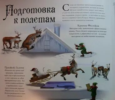 Какое имя у оленя санты