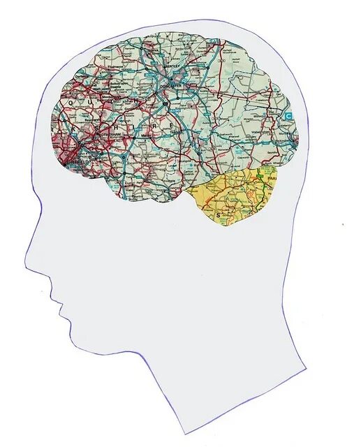 Brain карта. Brain Maps арт. Brain Mapping. The Brain Maps игра. Дочь Brain Maps.