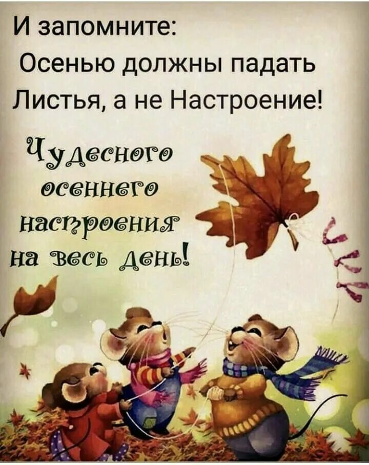 Позитивные цитаты. Настроение цитаты. Высказывания про настроение. Осенние позитивные высказывания