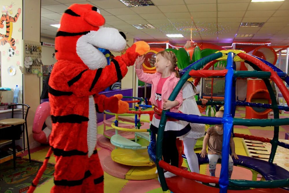 детский центр мишка. детский развлекательный центр донецк. детский развлекательный центр вулкан.