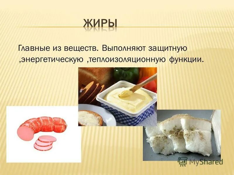 Основные функции пищи. Структурная функция углеводов. Энергетическая роль белка. Функции белков энергетическая функция. Энергетическая функсия биосфера.