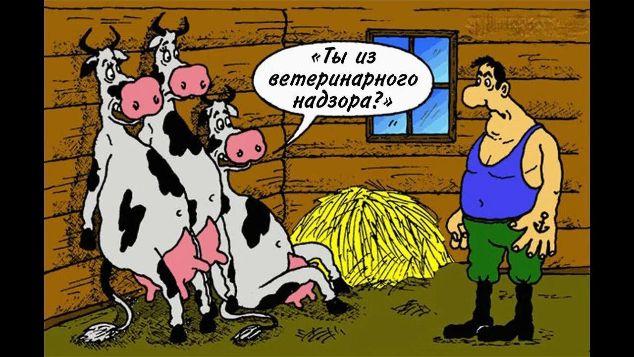 Тетка со здоровым выменем и сракой