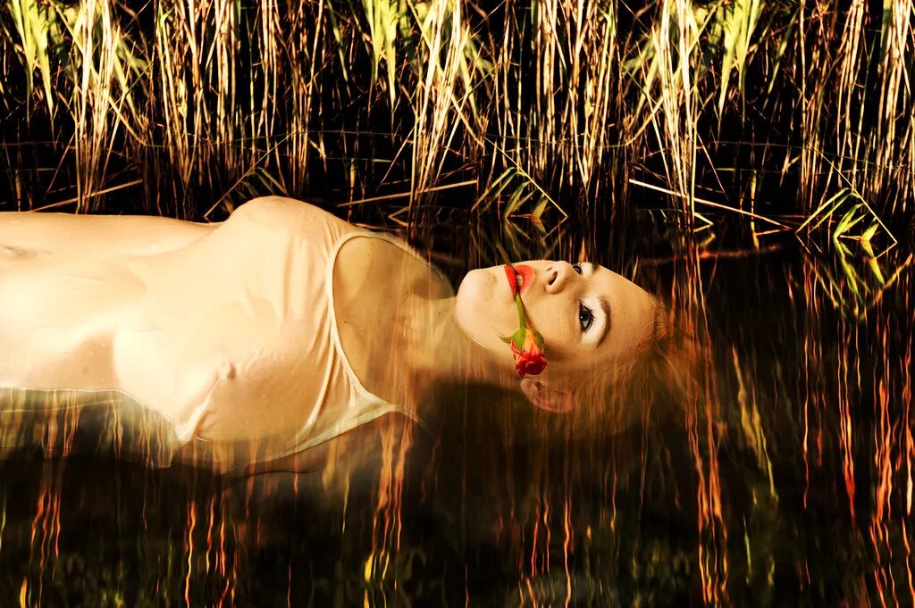 Kylie minogue roses. Kylie minogue roses. Кали миноуг ровзу. Nick cave kylie minogue. Kylie minogue roses.