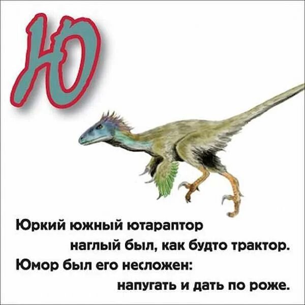 Какие животные начинаются на букву ю. Зверь на букву ю. животное на букву ю. зверек на букву ю. название зверя на букву ю.