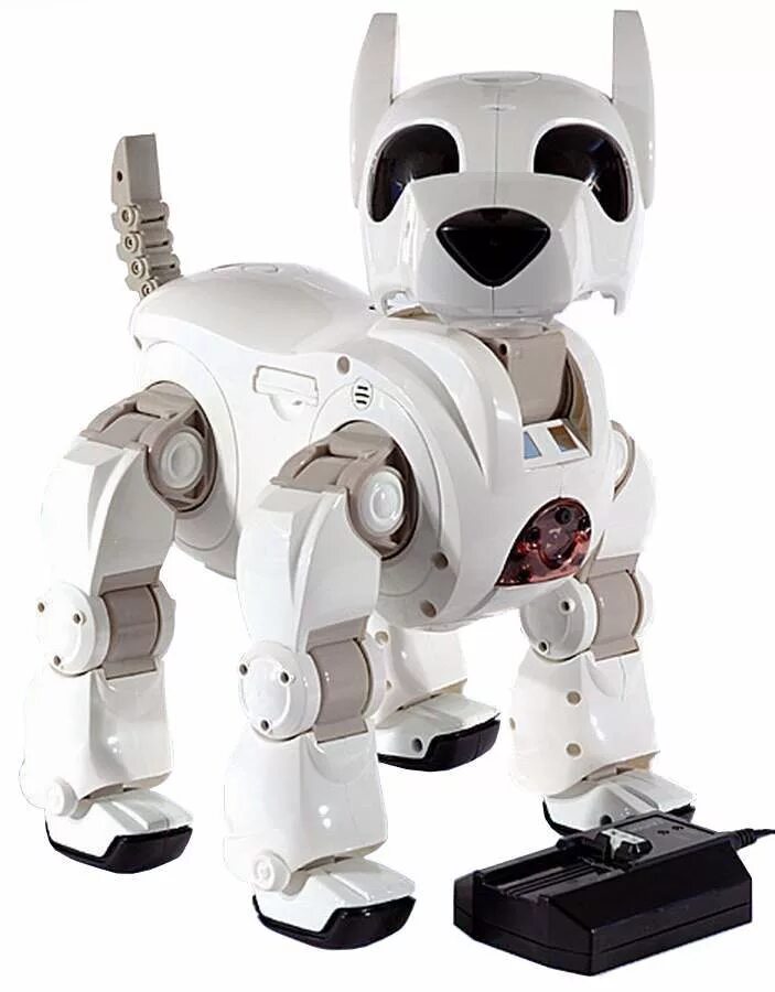 Маленький робот. Русифицированный робот. Робот улыбается. Робот хансик роботикс. Русифицированный робот.