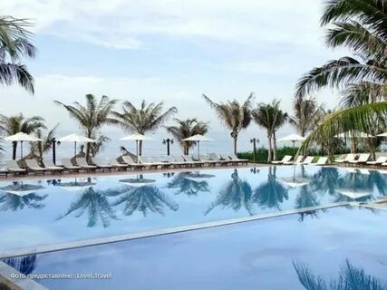 Sea lion beach resort spa