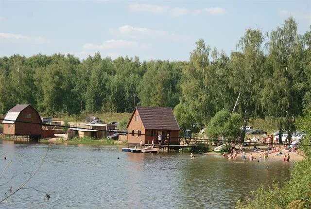 Юсупово пляж домодедово. Юсупово пляж фауна домодедово. Пляж юсупово домодедово. Пляж юсупово домодедово платный. Озеро балтым пляж грин парк.