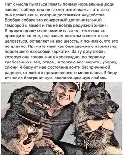 Почему стоит завести собаку