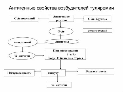 Выберите возбудитель туляремии