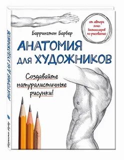 Рисунок человека учебник