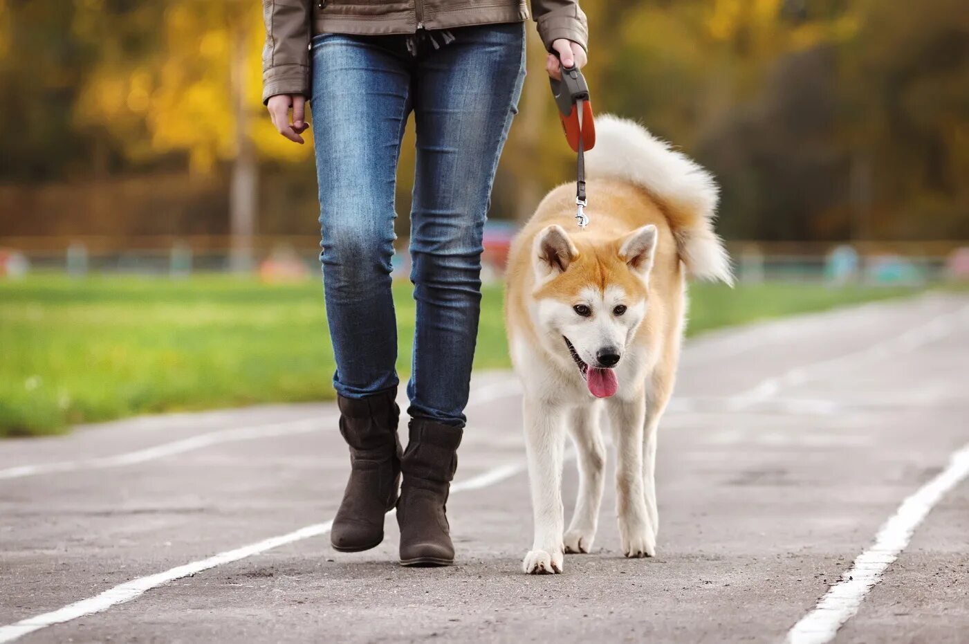 Можно ходить с собаками в магазин. Прогулка с собакой. Гулять с собакой. Девушка гуляет с собакой. Прогулка с большой собакой.