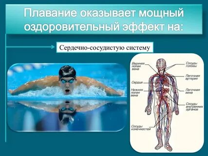 Влияние плавания