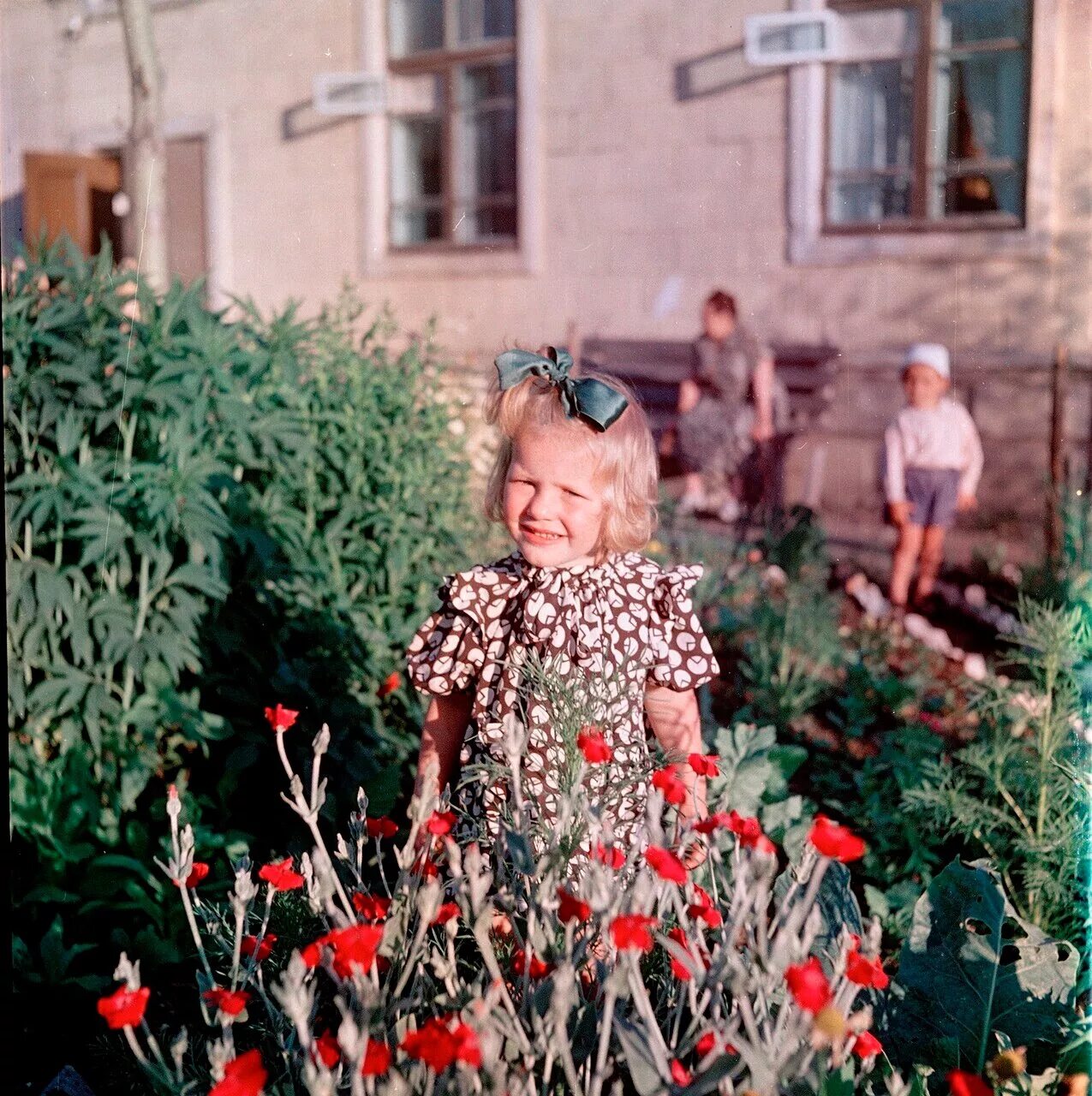 Семён Фридлянд Советская жизнь. Фотограф семён Осипович Фридлянд дети. Советские дети летом.