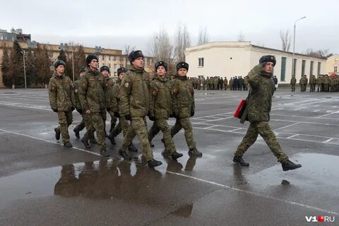 20 мотострелковая дивизия