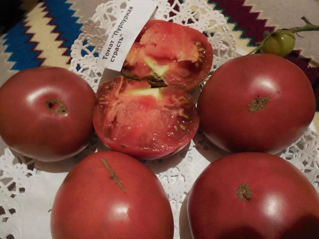 Томат сорт картофель. Сорт томатов картофельный. Сорта помидор с картофельными листьями. Сорт томатов картофельный. Помидофель томтато.