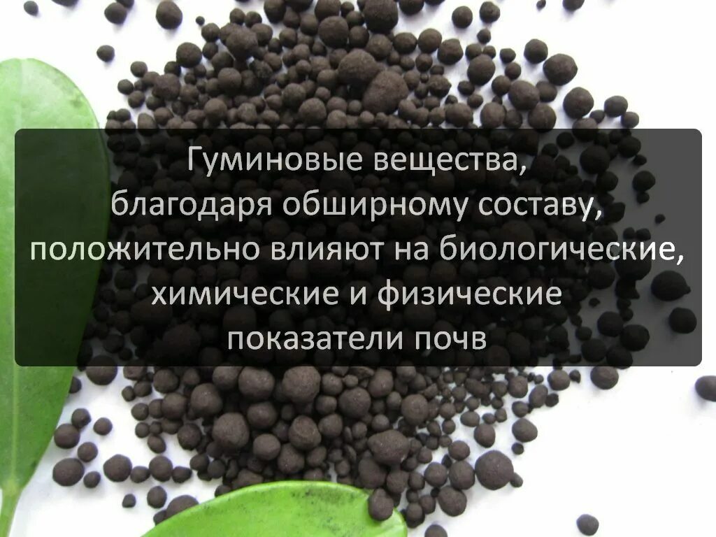 Гуминовые кислоты влияние